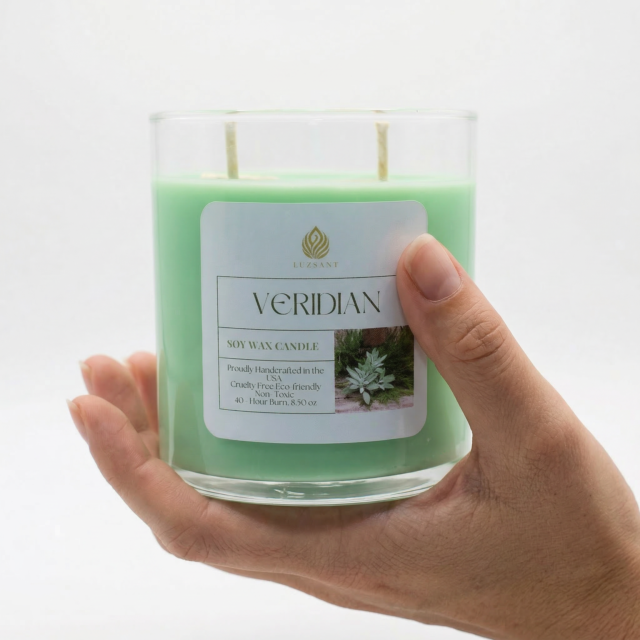 VERIDIAN